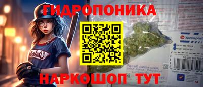 крисы Ливны